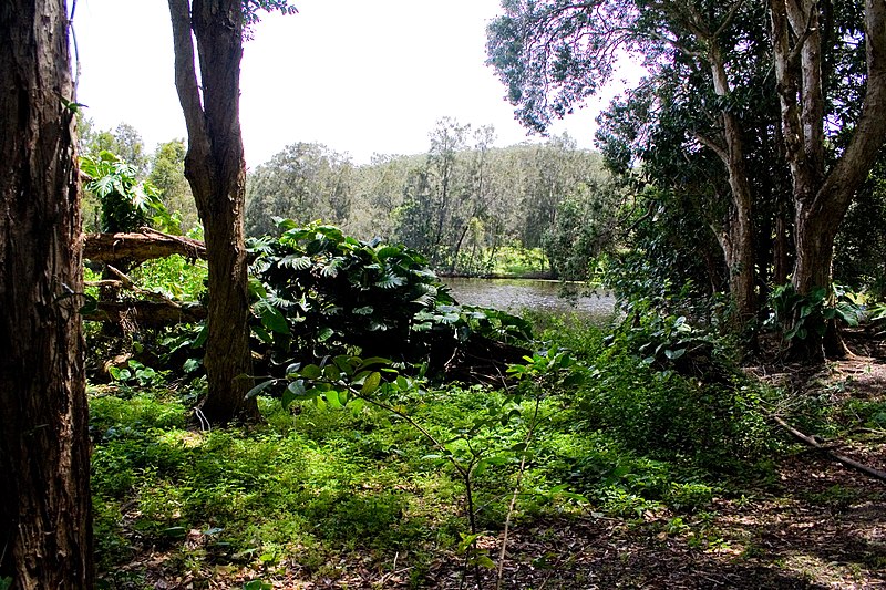 File:Currumbin Wildlife Sanctuary.jpg