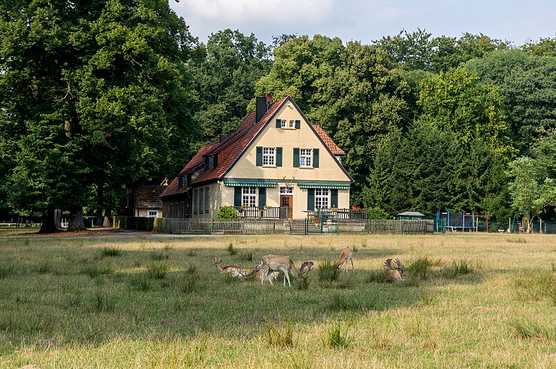 File:Dülmen, Wildpark -- 2013 -- 00463.jpg