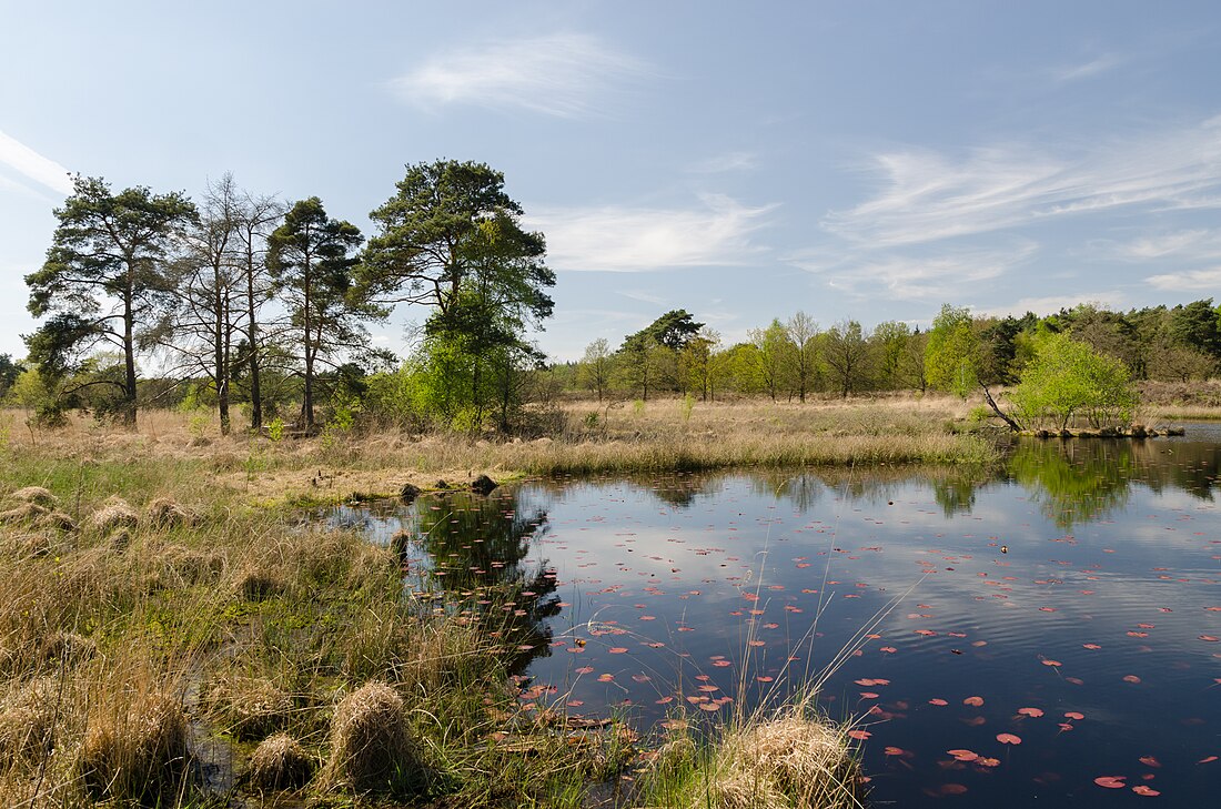 Parque nacional De Meinweg