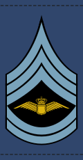 File:Denmark-AirForce-OR-7.svg