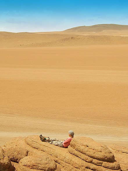 List desert. Пустыня дали Боливия. Пустыня Сальвадора дали Боливия. Великая пустыня.