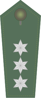 Polizeihauptkommissar (PHK) bz