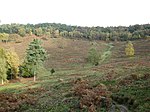 Devil's Punch Bowl