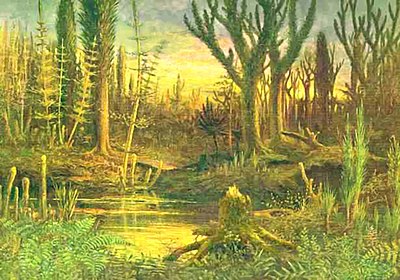 The Devonian marks the beginning of extensive land colonization by plants, which – through their effects on erosion and sedimentation – brought about significant climatic change.
