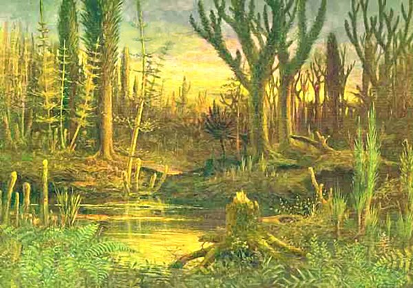 The Devonian Period marks the beginning of extensive land colonization by plants. With large land-dwelling herbivores not yet present, large forests g