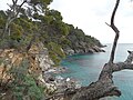 View from coastal path of the Domaine du Rayol