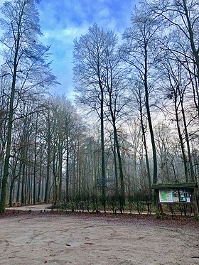 Przykładowe zdjęcie artykułu Drève des Deux Montagnes