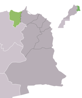 <span class="mw-page-title-main">Driouch Province</span> Province in northeastern Morocco, formed in 2009