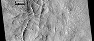 Network of ridges, as seen by HiRISE under HiWish program Ridges may be formed in various ways.