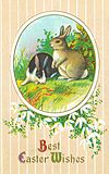Easter Bunny Postcard 1900 a.jpg