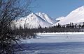 Edge of forest in winter scenic.jpg