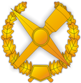 Петличная и погонная эмблема военнослужащих Топографической службы Вооружённых сил Российской Федерации (c 1992 по 2009 гг.)