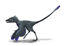 Scansoriopteryx