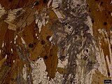 Fotomikrograf Cooma Granodiorite v Austrálii.