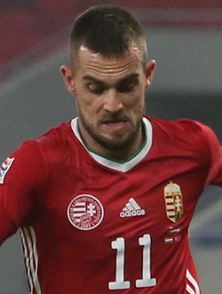 Filip Holender cropped.jpg