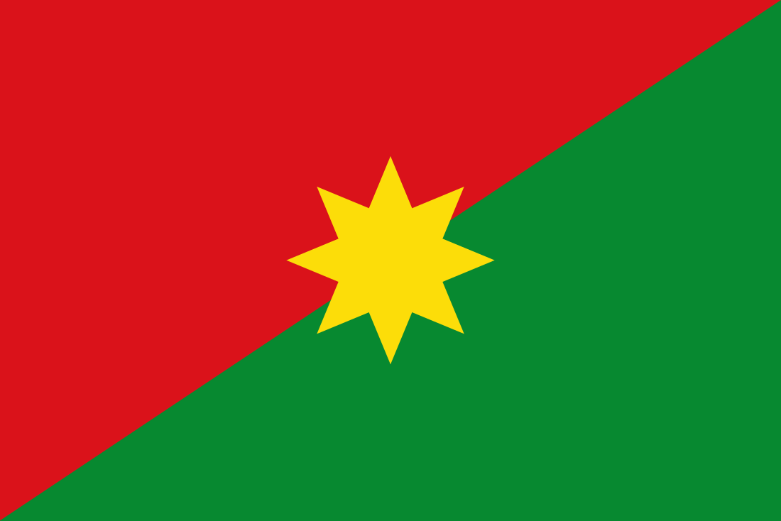 Flag of Casanare Department