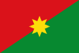 Casanare megye zászlaja