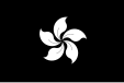 Black Bauhinia flag