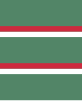 Flag of the Command of an Independent Infantry Battalion of the Royal Hungarian Defence Forces (1928).svg