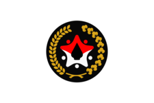 Flag of the Coordinating Ministry for Human Development and Cultural Affairs of the Republic of Indonesia.png