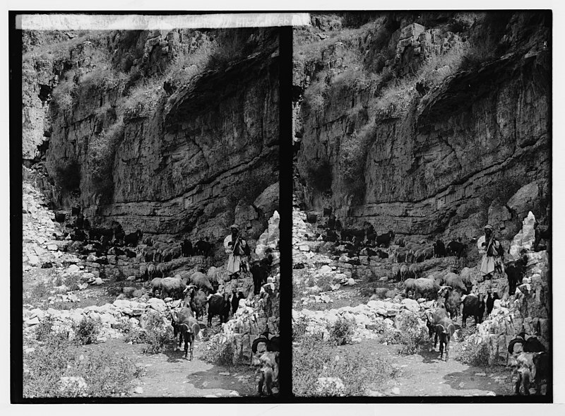 File:Flocks 'resting under the shadow of a great rock' LOC matpc.05401.jpg