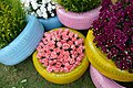 Flower decorations at a wedding in India 03.jpg