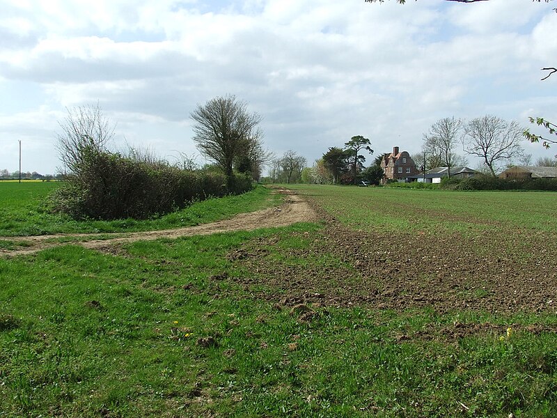 File:Footpath - geograph.org.uk - 3931578.jpg