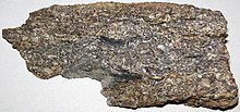 Fossiliferous limestone (Ames batu Kapur, Atas Pennsylvania; Mekar Township, Morgan County, Ohio, amerika SERIKAT).jpg