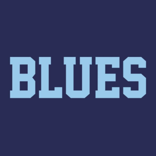 <span class="mw-page-title-main">Frankston Blues</span> Defunct basketball team from Melbourne, Australia