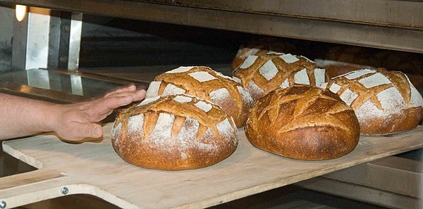 Freshly baked bread