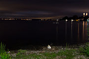 English: Lakeside promenade of Friedrichshafen by night. Deutsch: Die Uferpromenade von Friedrichshafen in der Nacht.