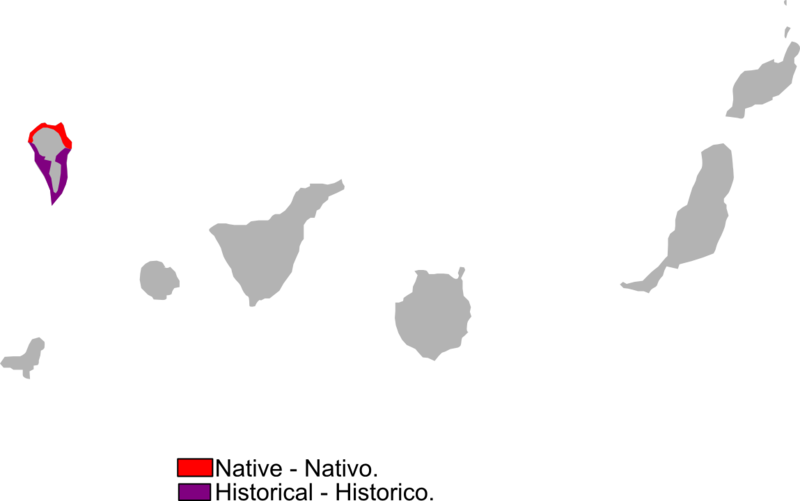 File:Gallotia auaritae range Map.png