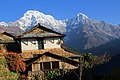 * Nomination Trekking routes in Nepal Ghandruk village on the way to Annapurna Base Camp and the Mt. Annapurna (8,091m.high) --Bijaya2043 10:25, 4 November 2016 (UTC) * Decline Unsufficient sharpness. Tilted. IMO not a QI, sorry. --Basotxerri 16:21, 4 November 2016 (UTC)