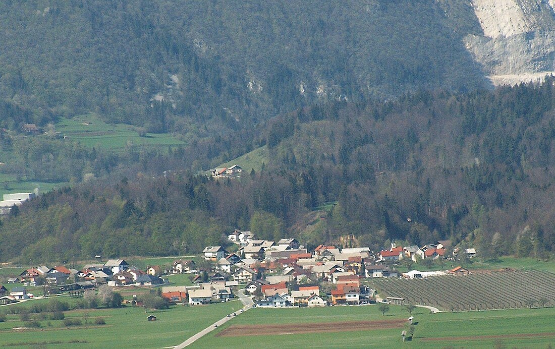 Godič