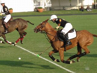 Gonzalo Pieres Argentine polo player