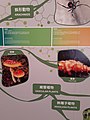 HK TST 尖沙咀 Tsim Sha Tsui 加連威老道 Granville Road 香港科學館 HKSM Science Museum live evolution timeline September 2021 SS2 10.jpg