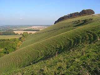 Ham Hill, Wiltshire Area of chalk downland in Wiltshire, England