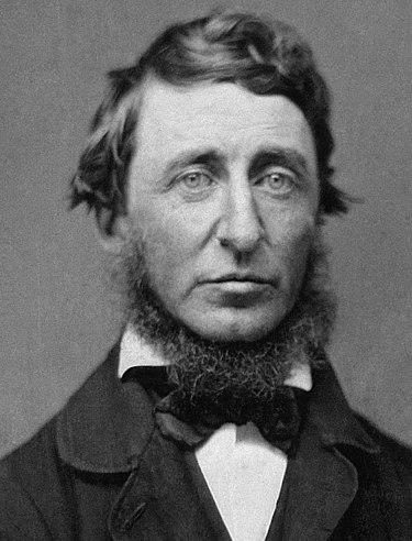 Daguerreotype of Henry David Thoreau made by Benjamin D. Maxham in June 1856.