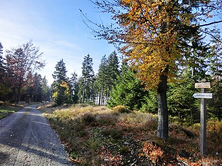 Hohe Heide