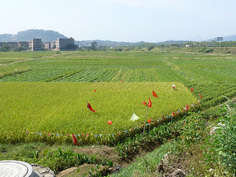 File:HuiAn - Zishan Town - P1230108.JPG