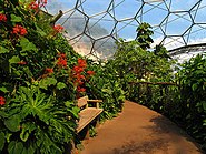 Humid Biome Interior - geograph.org.uk - 219395