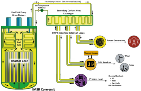 Integral Molten Salt Reactor