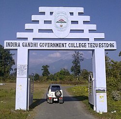 इंदिरा गाँधी सरकारी कॉलेज, तेज़ु