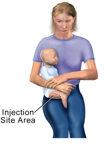 File:Injection Sites Intramuscular Thigh Child.png