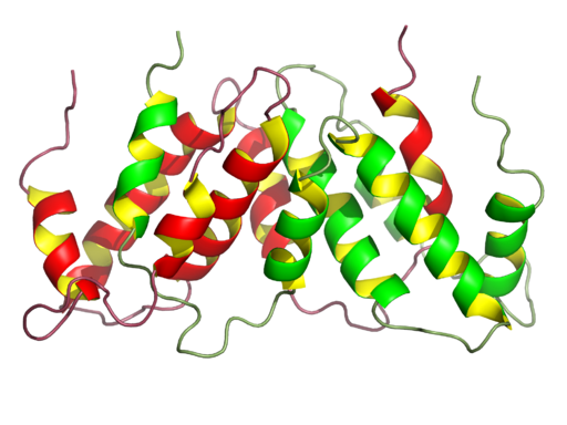 Interferon Gamma