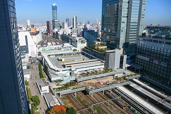 Tokyo station. Шинджуку станция Токио. Синдзюку Токио. Станция Синдзюку Токио. Вокзал Синдзюку.