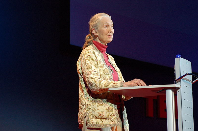 File:Jane Goodall at TEDGlobal 2007.jpg