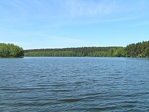 Jezioro Dybrzyk.jpg