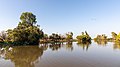 * Nomination Ngurrungurrudjba (Yellow Water) in Kakadu National Park, Northern Territory, Australia --XRay 01:37, 29 February 2020 (UTC) * Promotion Good quality. --Seven Pandas 02:25, 29 February 2020 (UTC)