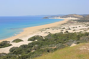 Blick auf den Strand (2016)